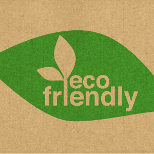 Eco-Friendly Ideas